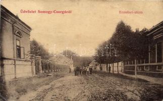 Csurgó Erzsébet utca (fa)