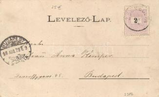 1898 Zsombolya, Recktenwald-üzlet, Csekonits-kastély; kiadja Recktenwald Miklós / shop, inn, floral ...