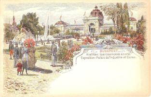 Budapest díjjegyes litho