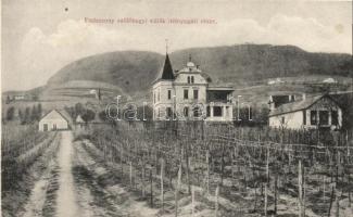 Badacsony, szőlőhegyi villák