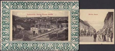 Zimony, Zemun; Art Nouveau leporellocard (b)