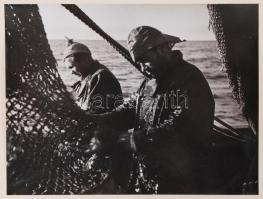 1953 Lengyel tengeri hajózás, tengeri halászat – 4 db 12x17 cm-es fotó 33x24 cm-es kartono...