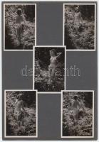 cca 1940 Dr. Csörgeő Tibor (1896-1968) hagyatékából 5 db vintage aktfotó, albumlapra felragasztva, képek mérete 8x6 cm, karton 24x17 cm