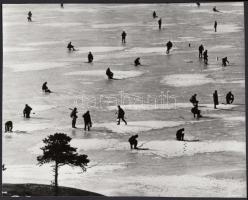 Cc 1960-1970 Lékhalászok; 16x20 cm