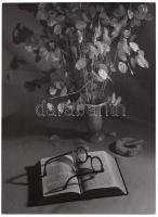 Cca 1950 Járai Rudolf (1913-1993): Csendélet; vintage fotóművészeti alkotás; aláírva, pecsételve; 24x18 cm;