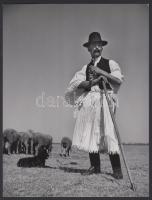 1939 Járai Rudolf (1913-1993): Juhász; vintage fotóművészeti alkotás; aláírva; 24x18 cm;