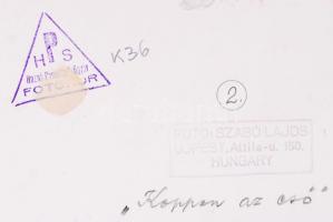 cca 1950-1960 Szabó Lajos: Koppan az eső, vintage fotóművészeti alkotás, pecséttel jelezve, 24x30 cm