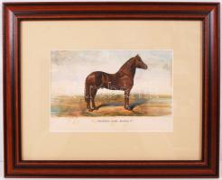 1879 Futamgyőztes lovak sorozat: színezett kőnyomat igényes üvegezett keretben / Champion horses lit...