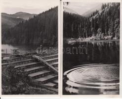 Tiszabogdány - 2 képeslap: vízfogógát, Tisza gát