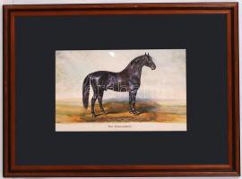 1879 Futamgyőztes lovak sorozat: kőnyomat igényes üvegezett keretben / Champion horses lithography 4...