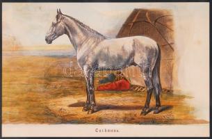 1879 Türkmén telivér kőnyomat igényes üvegezett keretben / Champion horses lithography 40x33 cm