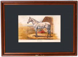 1879 Türkmén telivér kőnyomat igényes üvegezett keretben / Champion horses lithography 40x33 cm