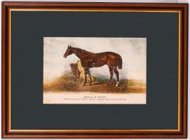 1879 Futamgyőztes lovak sorozatból: Emperor of Norfolk kőnyomat igényes üvegezett keretben / Champio...
