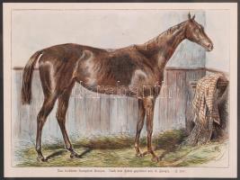 cca 1880 Futamgyőztes lovak sorozatból: Kincsem színezett fametszet igényes üvegezett keretben / Champion horses wood engraving 42x36 cm