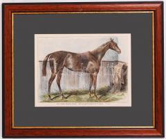 cca 1880 Futamgyőztes lovak sorozatból: Kincsem színezett fametszet igényes üvegezett keretben / Cha...
