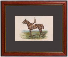 1879 Futamgyőztes lovak sorozatból: Traschenberg könyomat igényes üvegezett keretben / Champion hors...