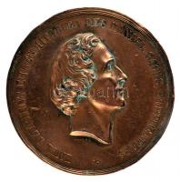 Német Államok / Szászország 1868. Emil Devrient Br emlékérem (50mm) T:II- ph. German States /Saxony 1868. Emil Devrient Br commemorative medallion (50mm) C:VF edge error