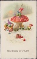 New Year, mushroom, dwarf, litho