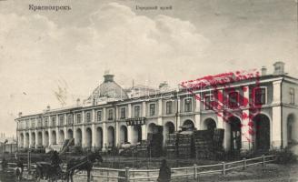 Krasnoyarsk museum (b)