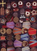 Szovjetunió óriási kitüntetés, jelvény, kitűző gyűjtemény az 1940-es évektől a modern időkig, 867 kl...