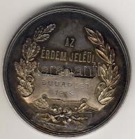 1902. "Baromfitenyésztők Orsz. Egyesülete" nagyalakú fém plakett T:2