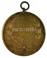 1917. Bronz Vitézségi Érem "IV. Károly / Fortitudini" mellszalag nélkül szign: Kautsch T:2...