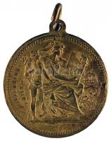 1896. "Milleniumi emlék - Ferenc József" Br emlékérem (29mm) T:2 ph