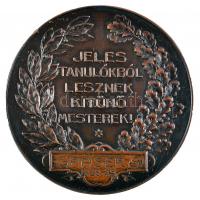 1928-1929. "Budapesti Kereskedelmi És Iparkamara Kitüntető Érme / Jeles Tanulókból Lesznek Kitű...