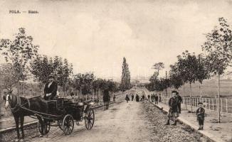 Pola, Siana (Pula, Sijana)