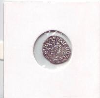 1551. I. Ferdinánd denár Ag ÉH 745a. T:2