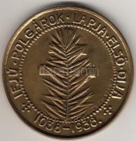 1938. "Szt. István király" nagyalakú Br plakett. Szign:Zs.Csiszér J. T:2