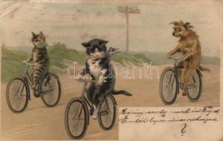 Cycling cats, dog, litho (EB)