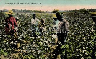 New Orleans picking cotton, folklore