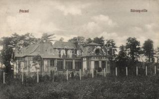 Pécel Bárczy villa (kis szakadás / small tear)