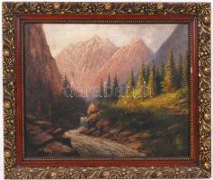 Jelzés nélkül: Napfényes hegycsúcsok. Olaj, vászon, antik keretben, 40×50 cm