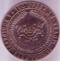 1993. "100 éves a Budapesi Elektromos Művek R.T." nagyméretű Br plakett T:2