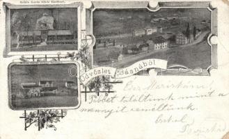 Bázna szikla forrás tükörfürdővel, meleg fürdő gyógyteremmel / stone source, mirror spa, sanatorium, floral (fa)