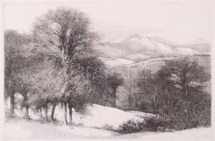 Gy. Molnár István (1933-): Séta a Pilisben. Rézkarc, papír, jelzés nélkül, 19×28 cm