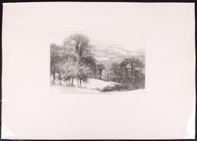 Gy. Molnár István (1933-): Séta a Pilisben. Rézkarc, papír, jelzés nélkül, 19×28 cm