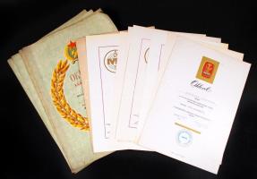 13 db szocreál oklevél