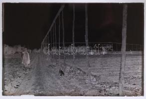 cca 1916 4 db katonai üvegnegatív I. r 25. ezred életéből. Rajta tábornokok is. / 4 military glass-n...