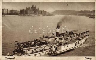 A Zsófia gőzhajó a Dunán / SS Zsófia, Budapest (fa)