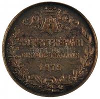 1879. "Székesfehérvári Országos Kiállítás" sárgaréz emlékérem (50mm) T:3