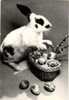 kb. 300 db modern üdvözlőlap / 300 modern greeting cards