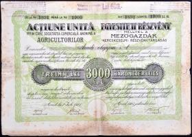 Románia / Arad 1923. "Mezőgazdák Kereskedelmi Részvénytársaság" egyesített részvénye 3000L...