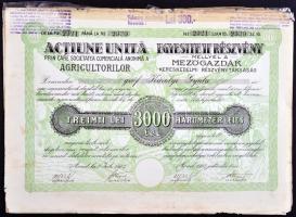 Románia / Arad 1923. "Mezőgazdák Kereskedelmi Részvénytársaság" egyesített részvénye 3000L...