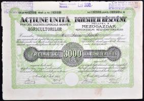 Románia / Arad 1923. "Mezőgazdák Kereskedelmi Részvénytársaság" egyesített részvénye 3000L...