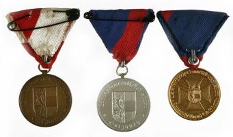 Ausztria / Salzburg DN "Landeskameradschaftsbund (Országos Bajtársi Szövetség) bronz, ezüstözöt...