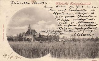 Kiskunfélegyháza, Félegyháza; villa (ázott / wet damage)