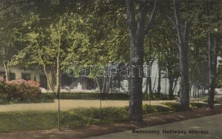 Badacsony, Hableány étterem (EB)